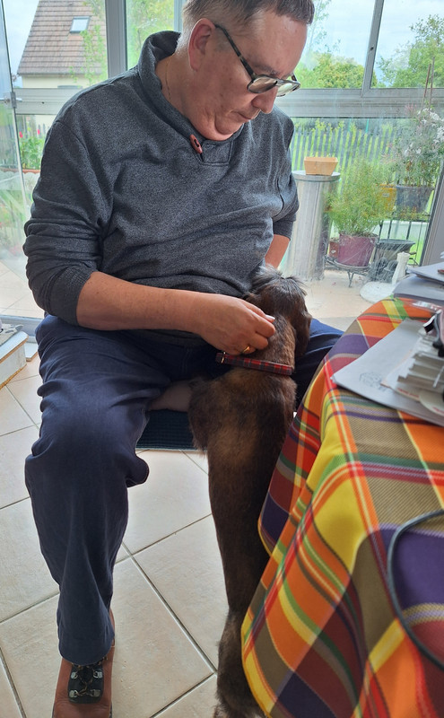 [Image: 20240502-162525.jpg]