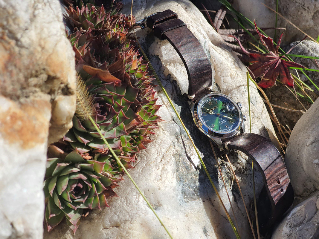 647AC390-8FE1-4E43-8EEA-5EAE69FCA6DC