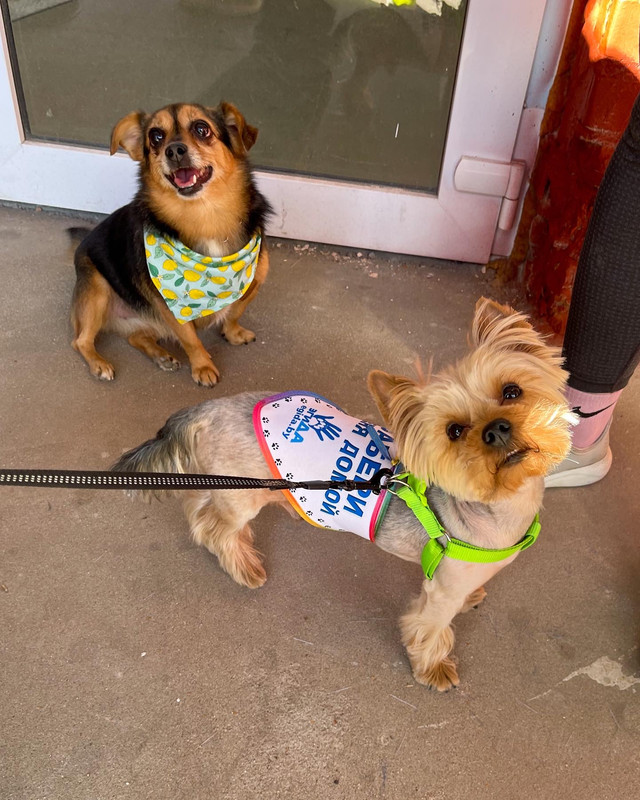 C8A92928-24E9-437A-B9B7-CCD07DC77299