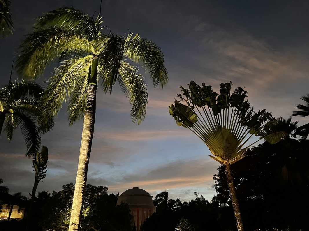 55A62A3A-105A-413A-91C4-563F777E1D34