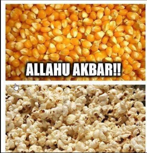 [Image: Akbar.jpg]