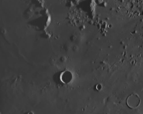 domos hortensius