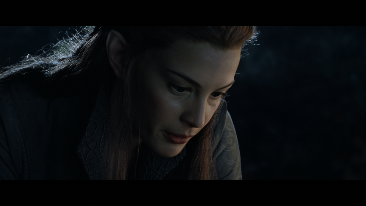 The Lord of the Rings- The Fellowship of the Ring (EXT.) PT. 1.mkv_snapshot_01.19.42_[2020.12.05_22.