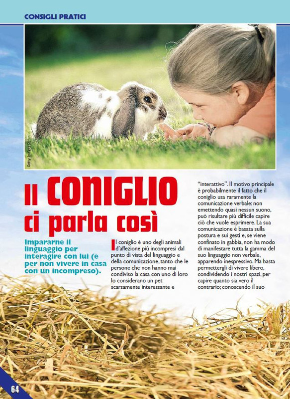 Foc Wil - Mag 2023 (11)