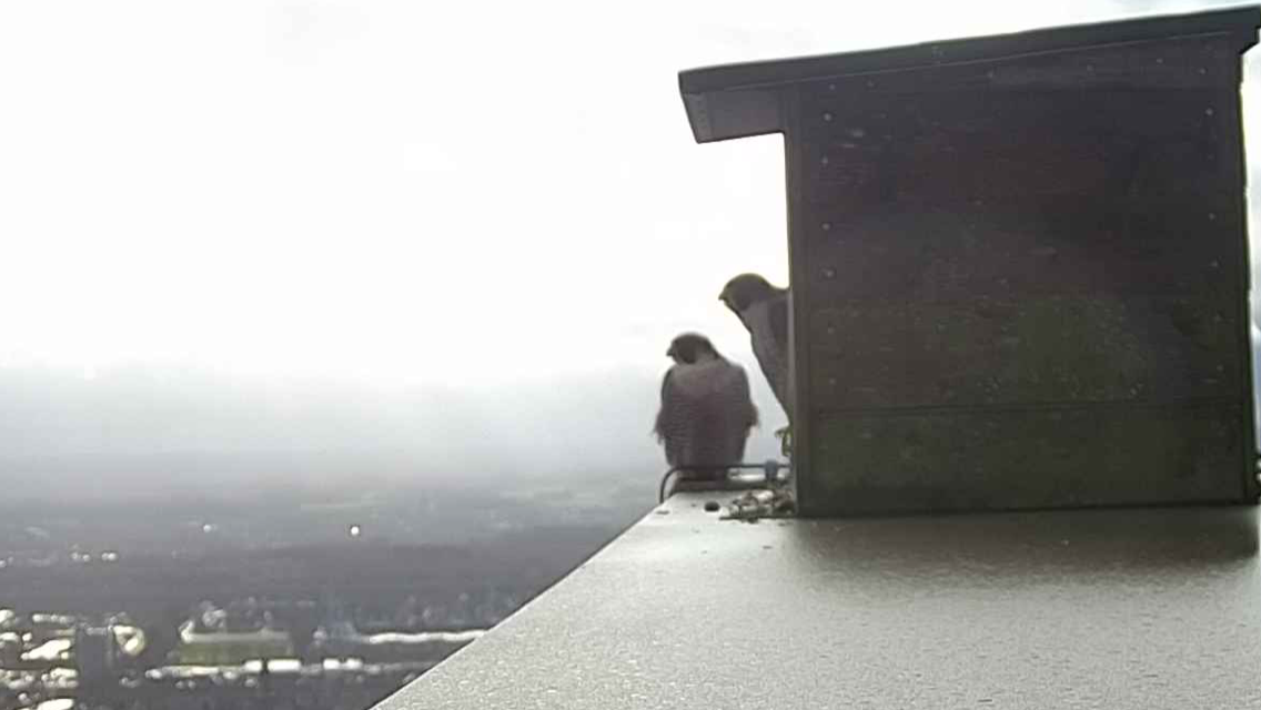 3EF35123-091E-4E7F-A988-B02E6F126D67