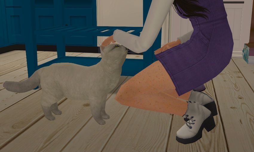 Sims2-EP9-2020-11-15-16-08-09-77