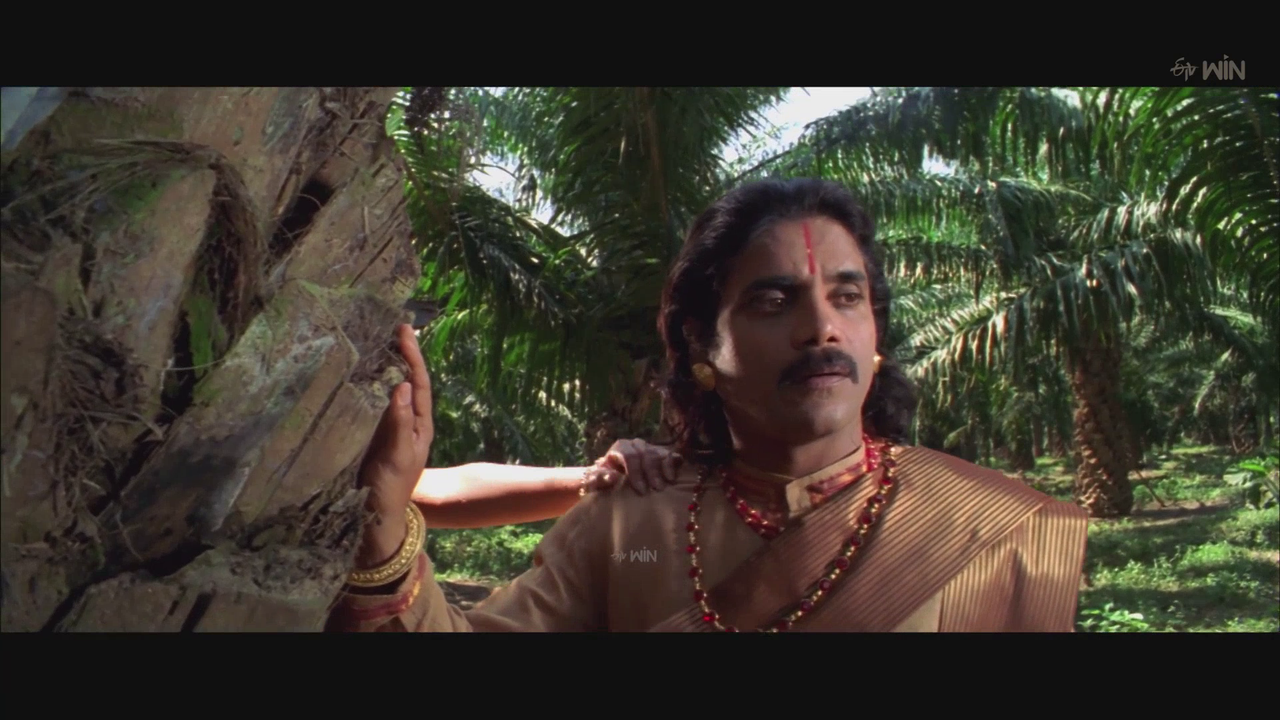 vlcsnap-2025-08-17-09h10m53s375