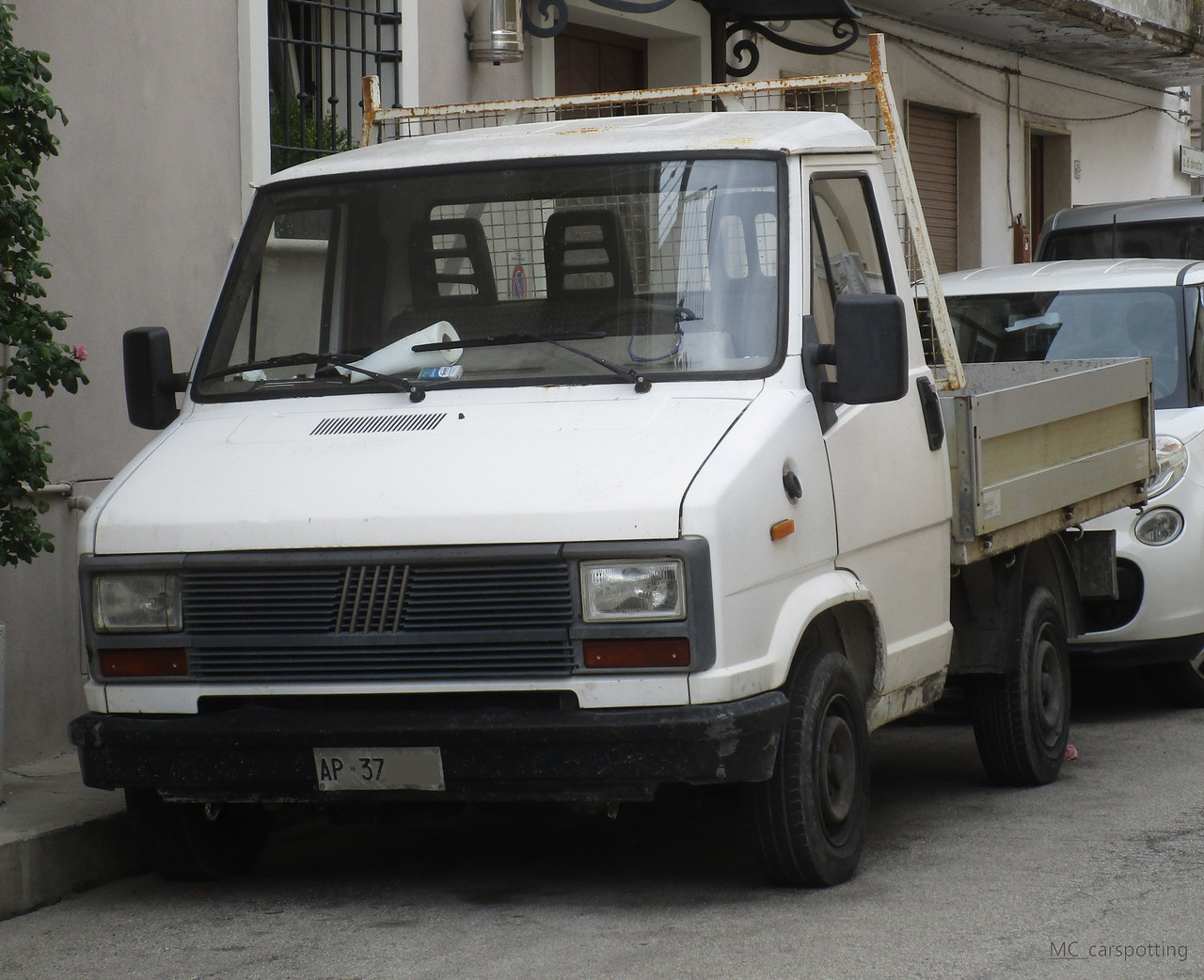 IMG-8768.jpg