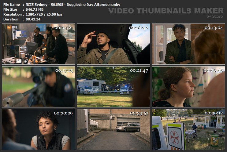 NCIS Sydney - S01E05 - Doggiecino Day Afternoon.mkv