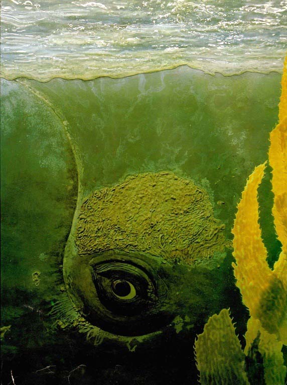 main-qimg-6f71e4e2bdb660652d3f9dca545f3451-c