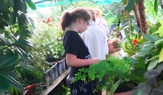 Вирощування рослин