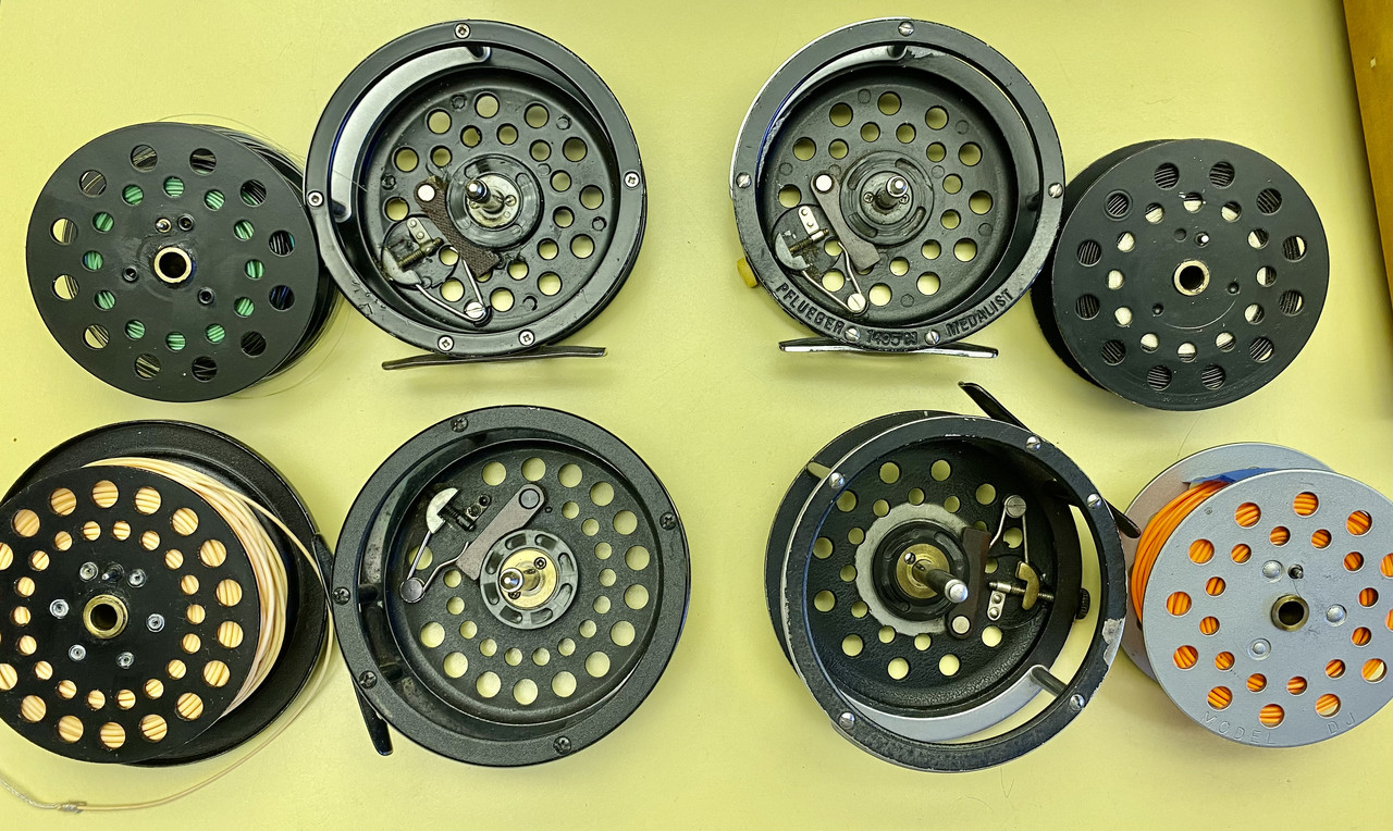 B08C5559-343F-446E-A2CE-0E49B8AE4E7B