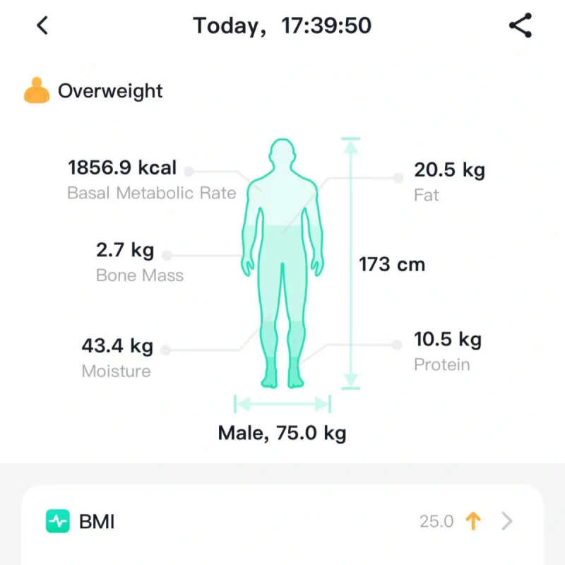 Temperature Monitoring