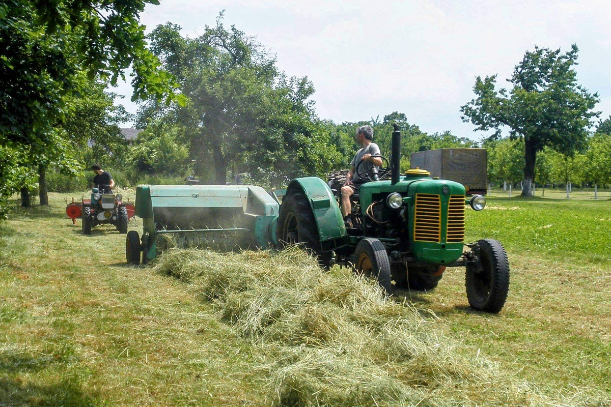 received_151916923593090