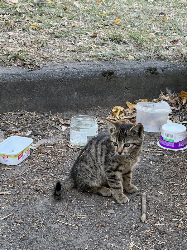 D6C93520-FCEE-4BE7-93C7-3016B79016D7