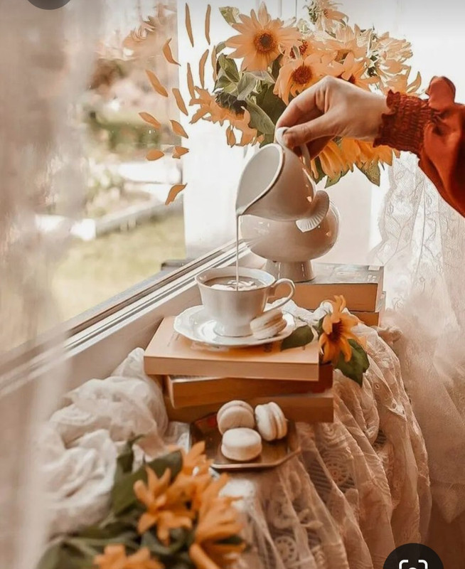 Screenshot_20230928_224646_Pinterest