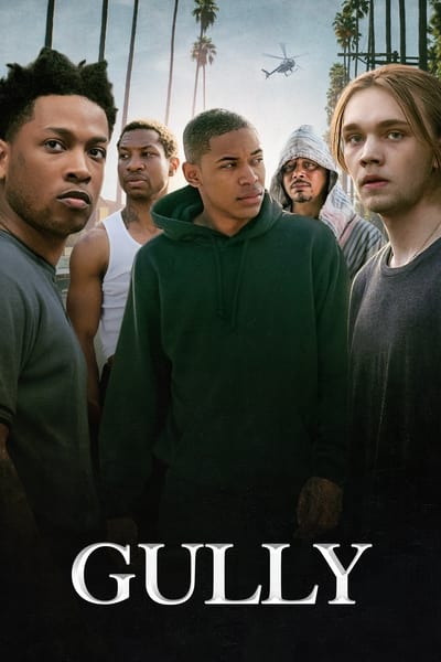 gully-2021-hdrip-xvid-ac3-evo.jpg