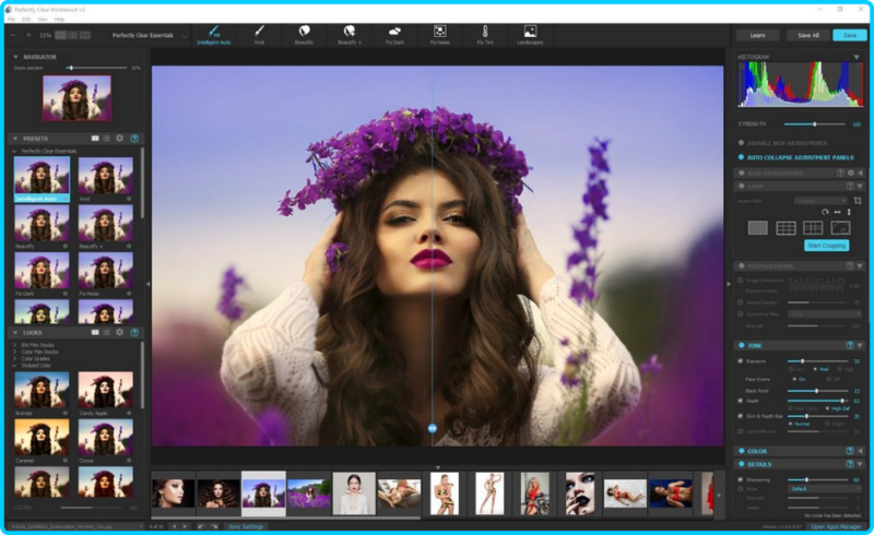 [Image: Perfectly-Clear-Work-Bench-4-1-1-2288-Multilingual.png]