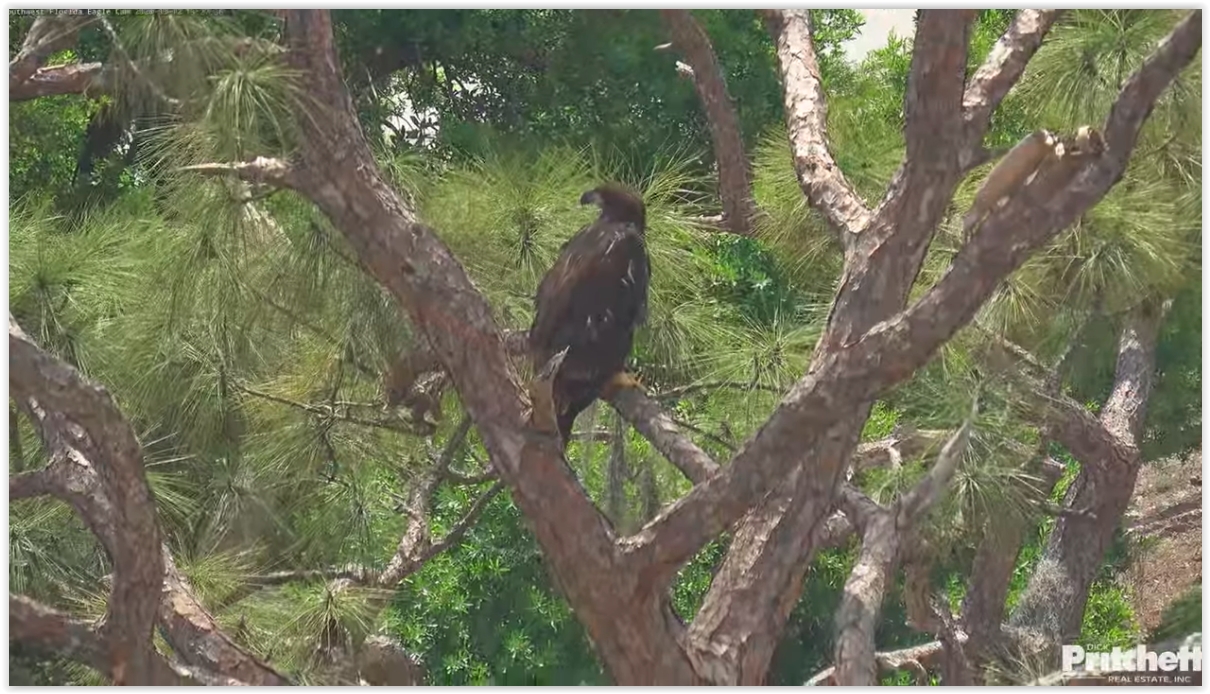 Screen Shot 03 12 26 at 06 29 PM