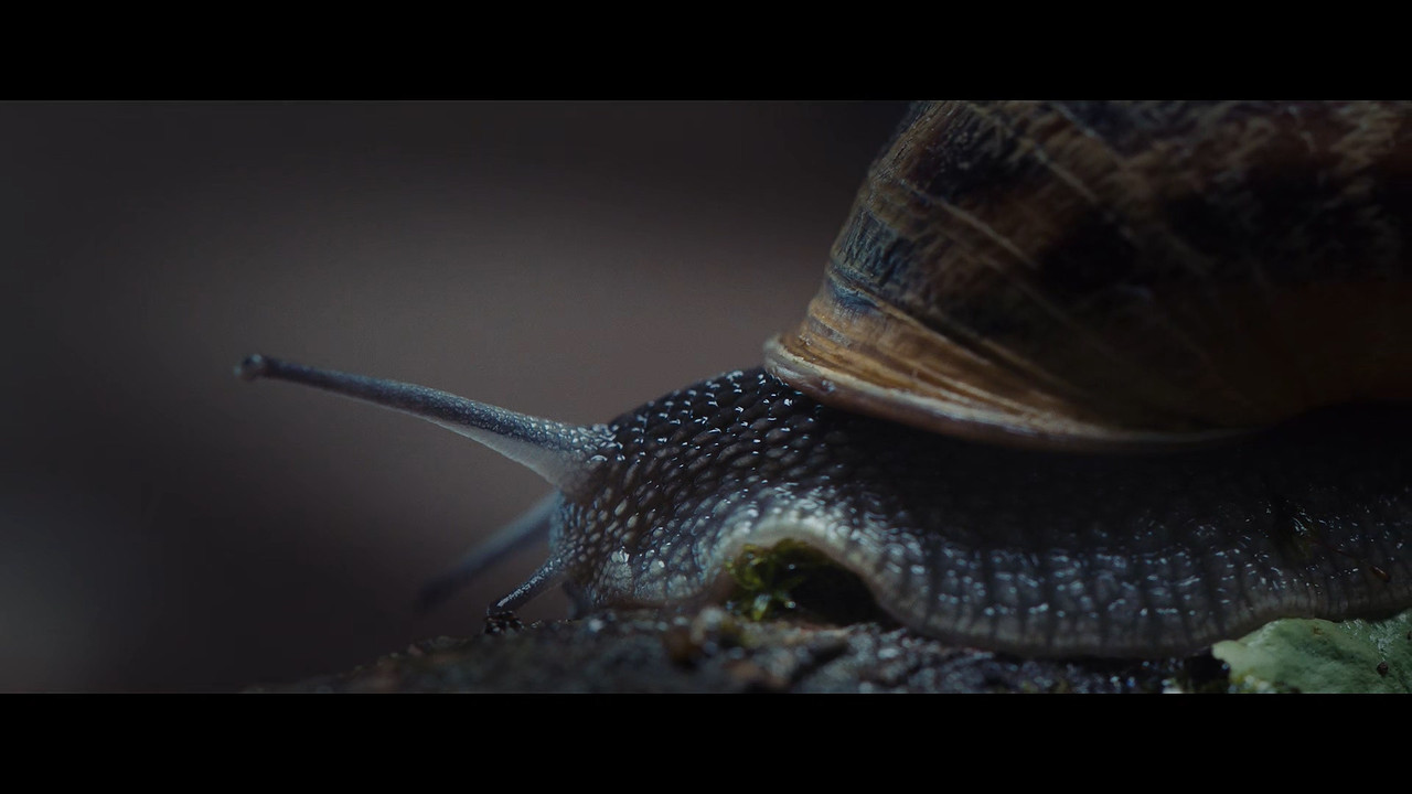 [HR] El Hoyo (2019) The Platform [Netflix 1080p x265]_6