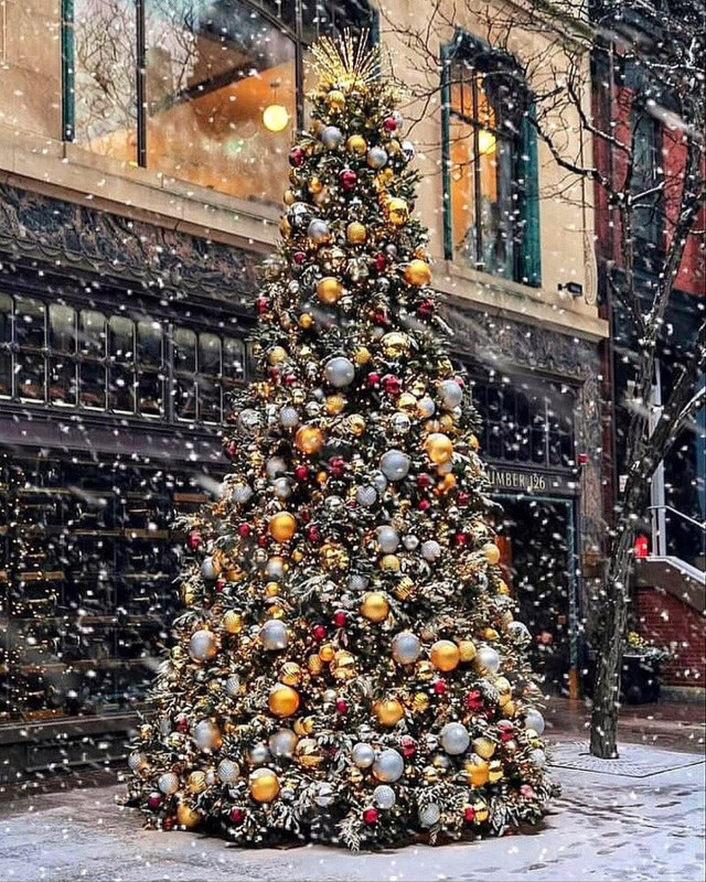 Screenshot_20231115_001521_Instagram