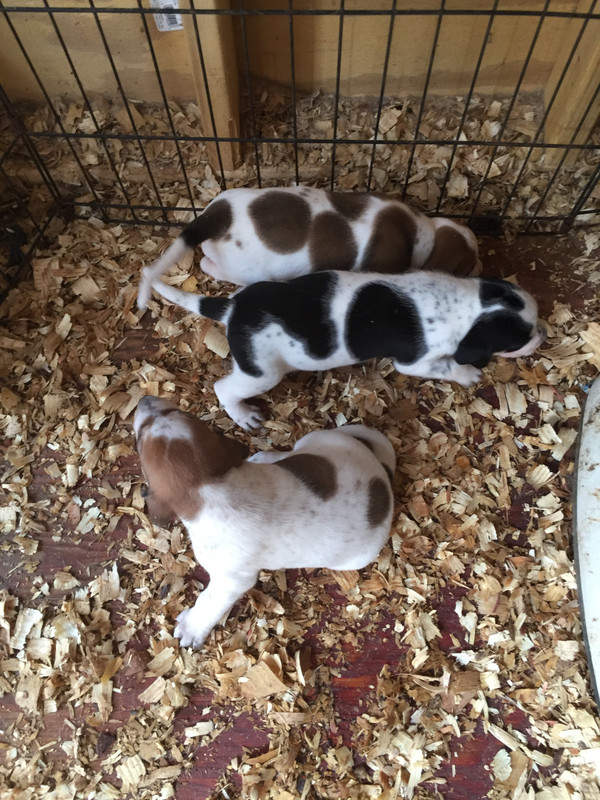 FD0D37C5-DC86-488F-9A8D-E1B2C04E8AB5