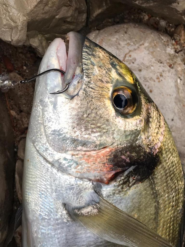 0DD800CA-C7B0-48C9-AA44-210635375451