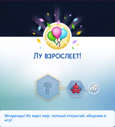 333.jpg