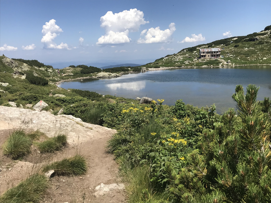 76712590-EA1E-4F94-9223-7F7CAEC45F3E