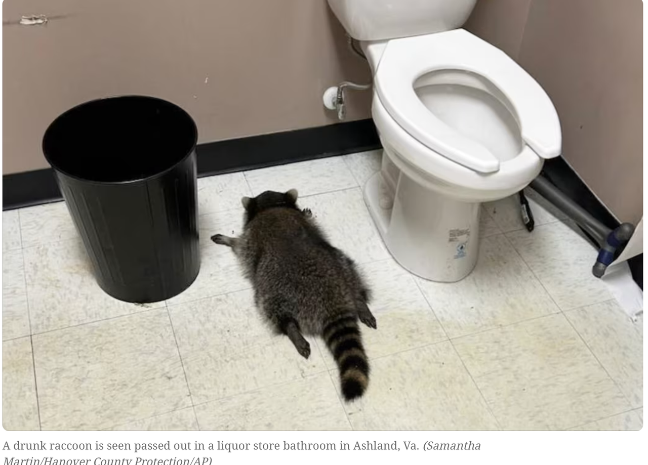 Screenshot 2025 12 04 at 11 40 40