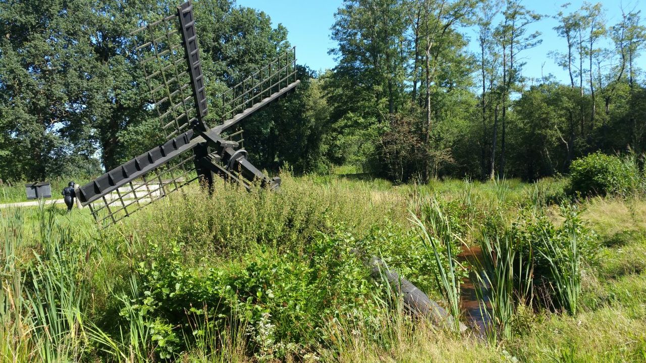 Tjasker ( Meesterveen ) 02 Zeijen