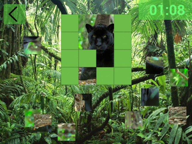 Puzzle-animals-4-002a