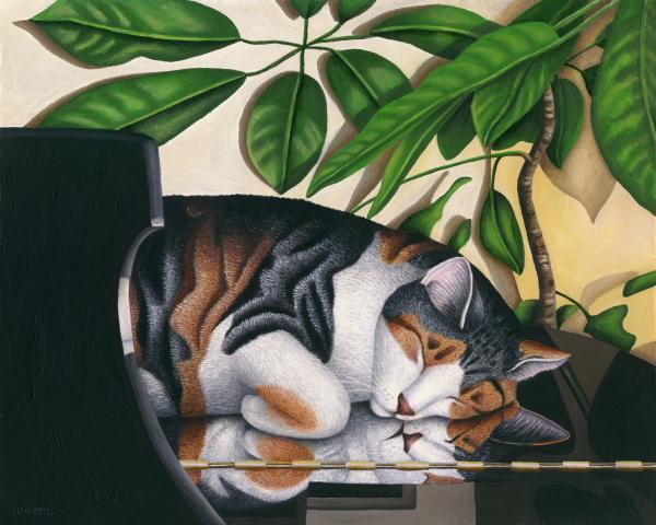 41-grand-dreams-cat-on-piano-carol-wilson-004
