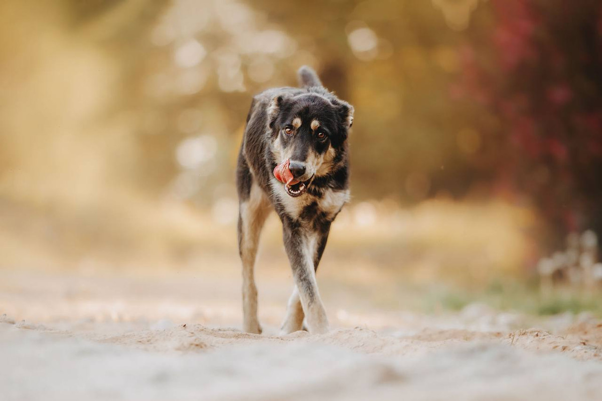 photo_2023-09-26_22-09-26