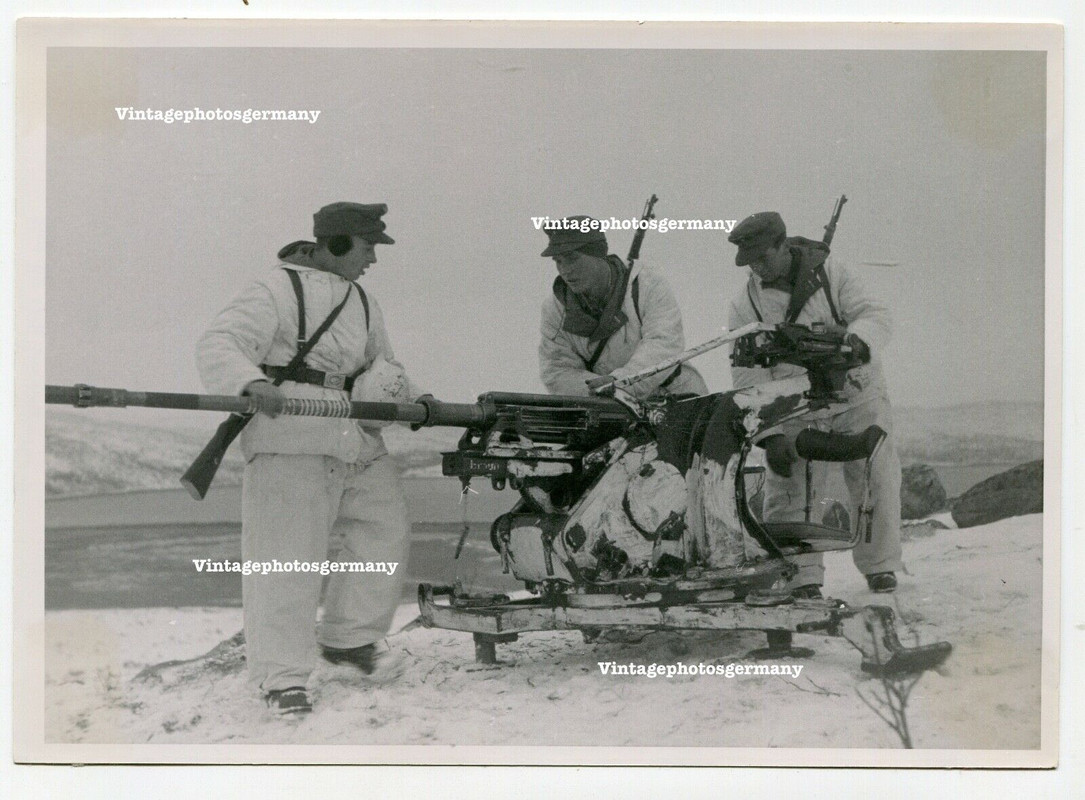 Norwegen deutsches 2cm Flak - Geschütz Camouflage Bilanz