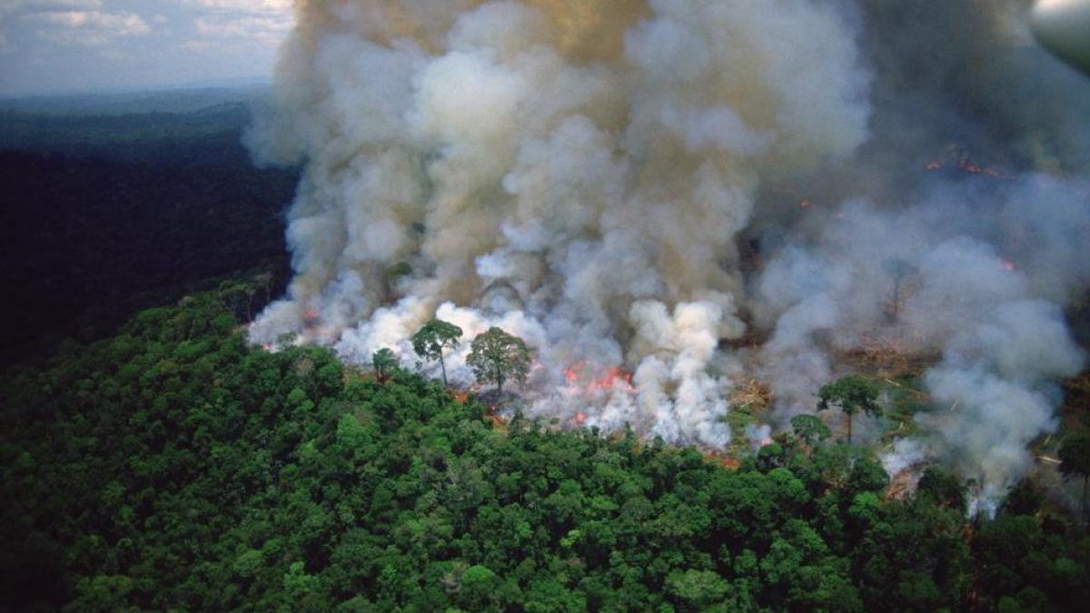 Peggio dell’Anno scorso: brucia l’Amazzonia brasiliana