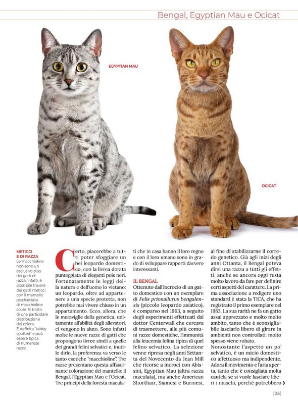 Ga Ma Ago-Set  2021 (2)