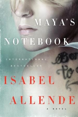 Book Review Mayas Notebook by Isabel Allende