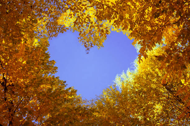[Image: istockphoto-991717728-612x612.jpg]