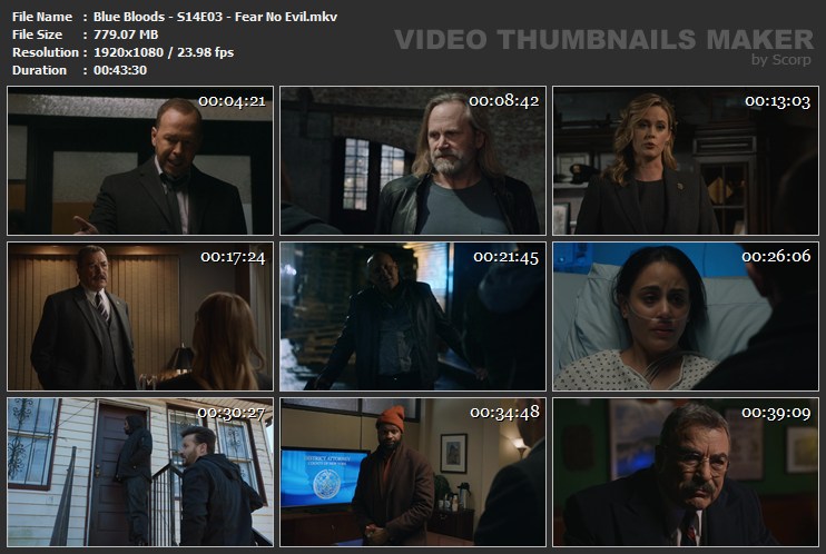 Blue Bloods - S14E03 - Fear No Evil.mkv