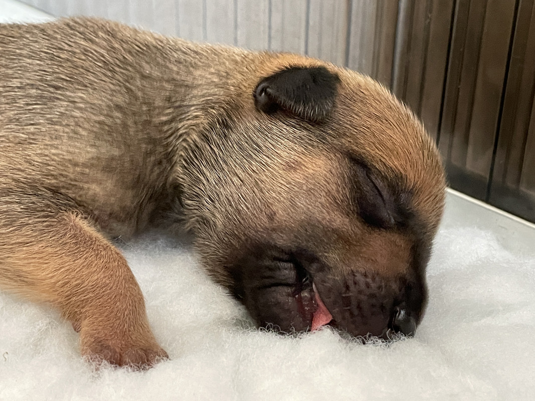 9DD0CB43-4426-4D3A-B9D8-ED85808859D5