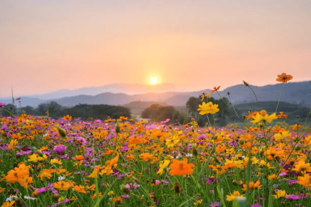 [Image: istockphoto-1130636356-612x612.png]