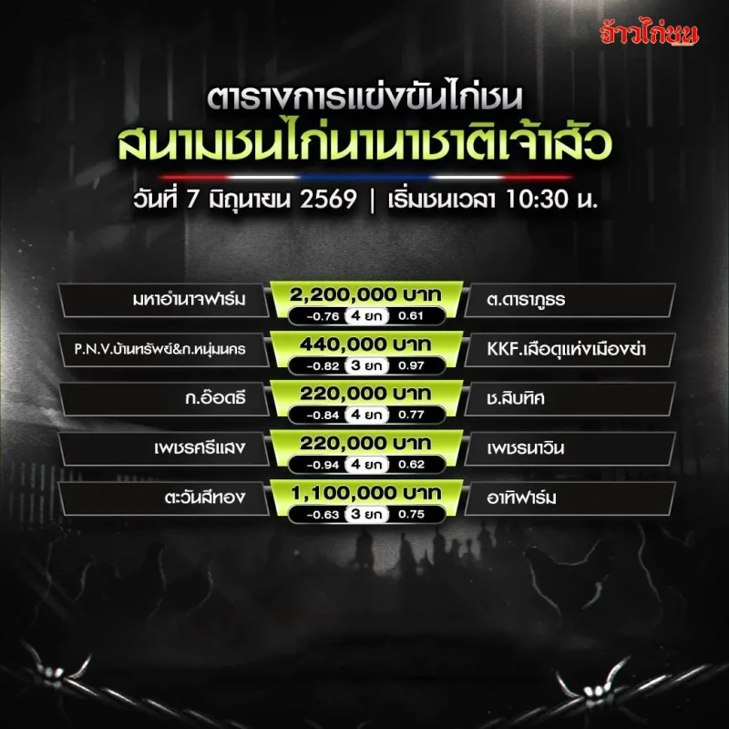 โปรแกรมไก่ชน สนามชนไก่นานาชาติเจ้าสัว วันอาทิตย์ที่ 7 มิถุนายน 2026