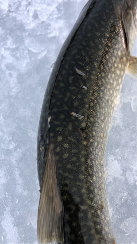 8A6865E5-2D8B-4F6F-BD2A-2565BC82595C