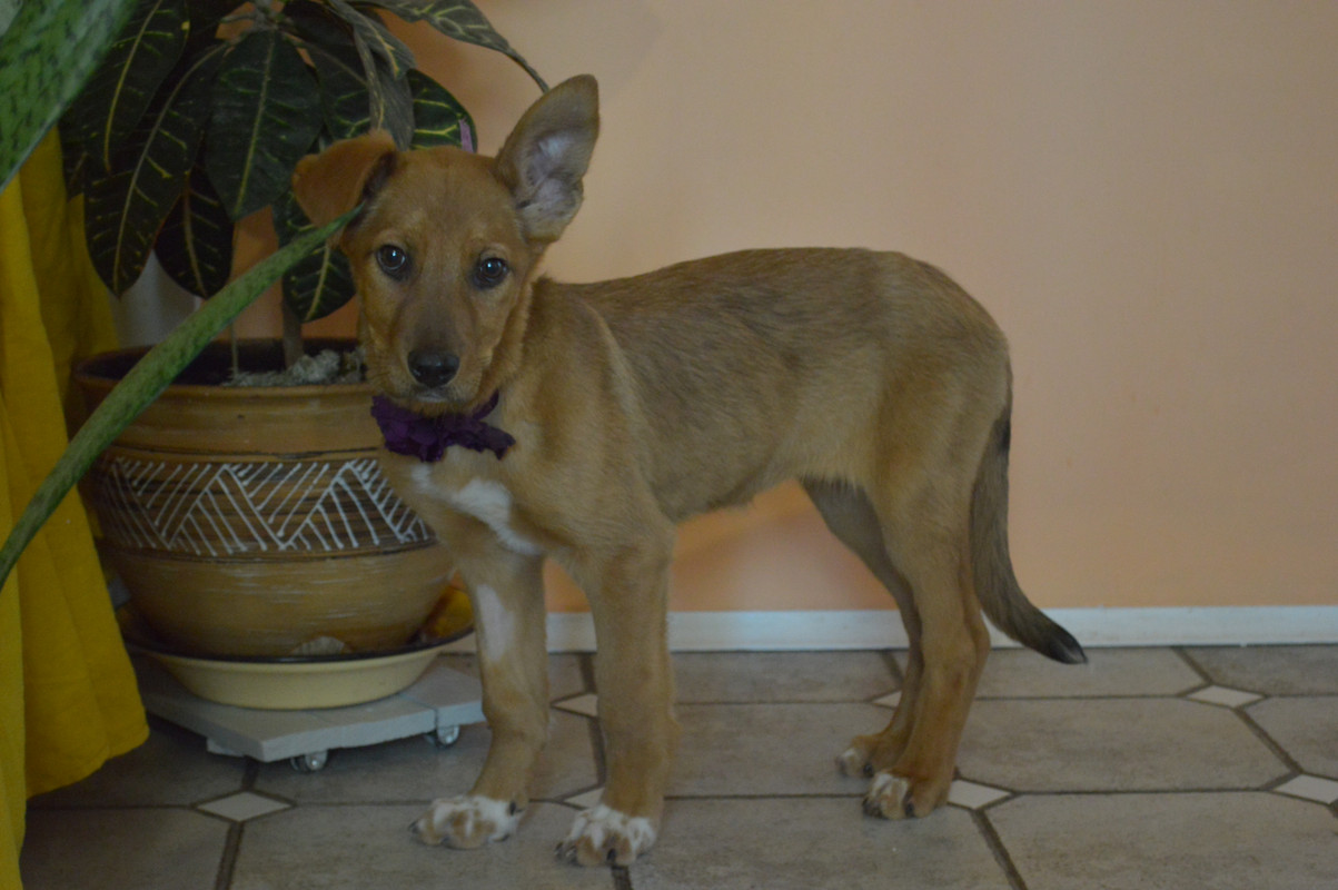 DSC_6911 — копия