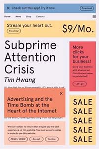 The cover for Subprime Attention Crisis