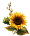 pngegg-8.png