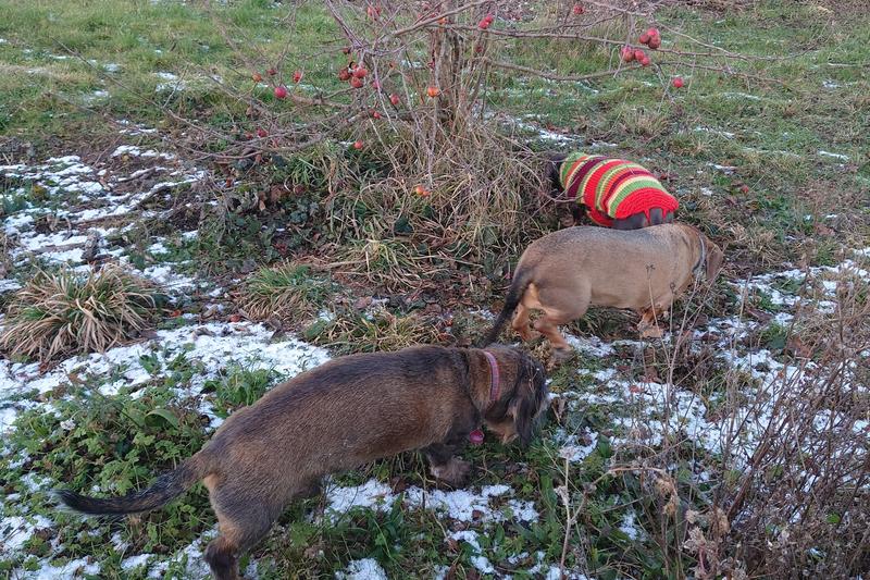 [Image: DSC-0116.jpg]