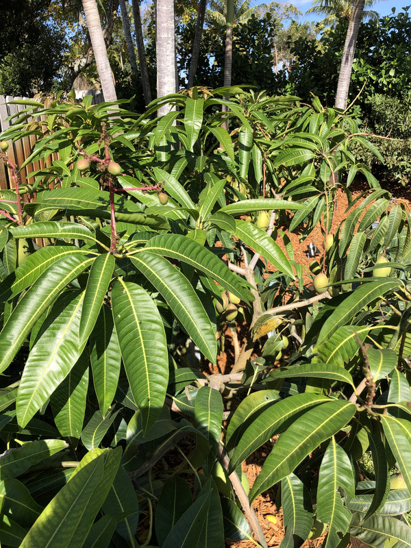 34AEEF53-2171-49D0-82FF-FA18C049F65B