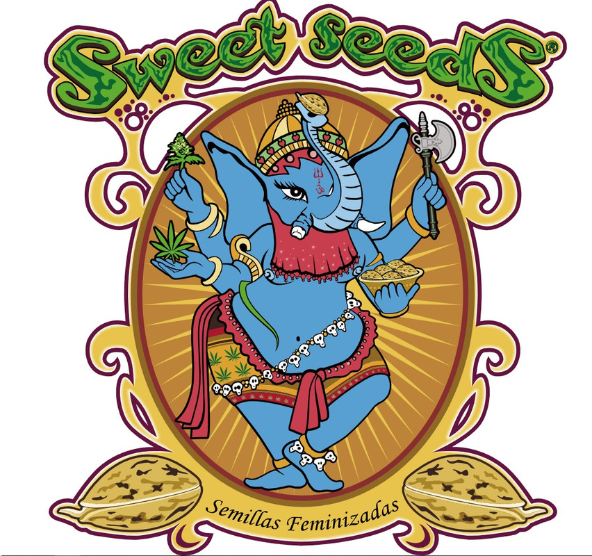 PROBANDO TEXTO ALTERNATIVO EN FOTO